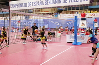 Valladolid acoge el Campeonato de España Benjamín de voleibol