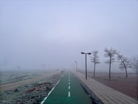 Mañana de sábado de niebla y cencellada en Valladolid