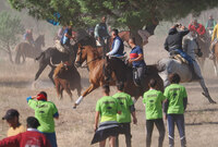 Celebración del Toro de la Vega en Tordesillas
