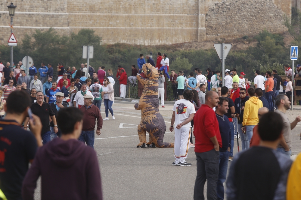 Toro de la Vega en Tordesillas  / JONATHAN TAJES