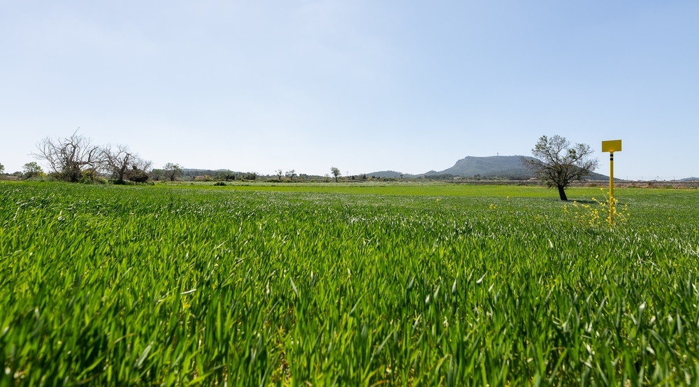 Redexis, un referente medioambiental, social y de gobernanza