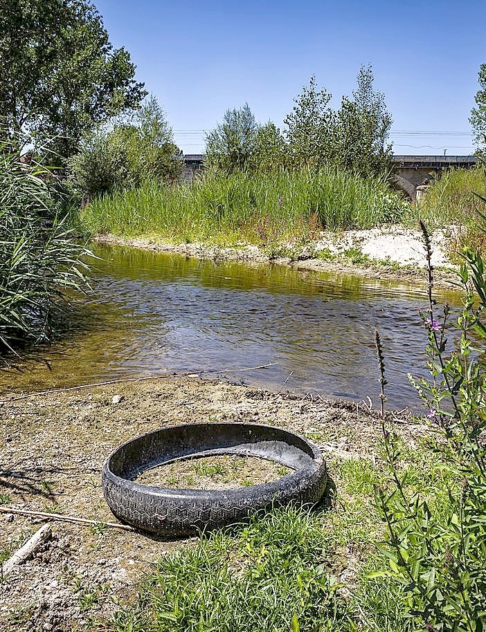 La sequía deja los ríos de Valladolid bajo mínimos