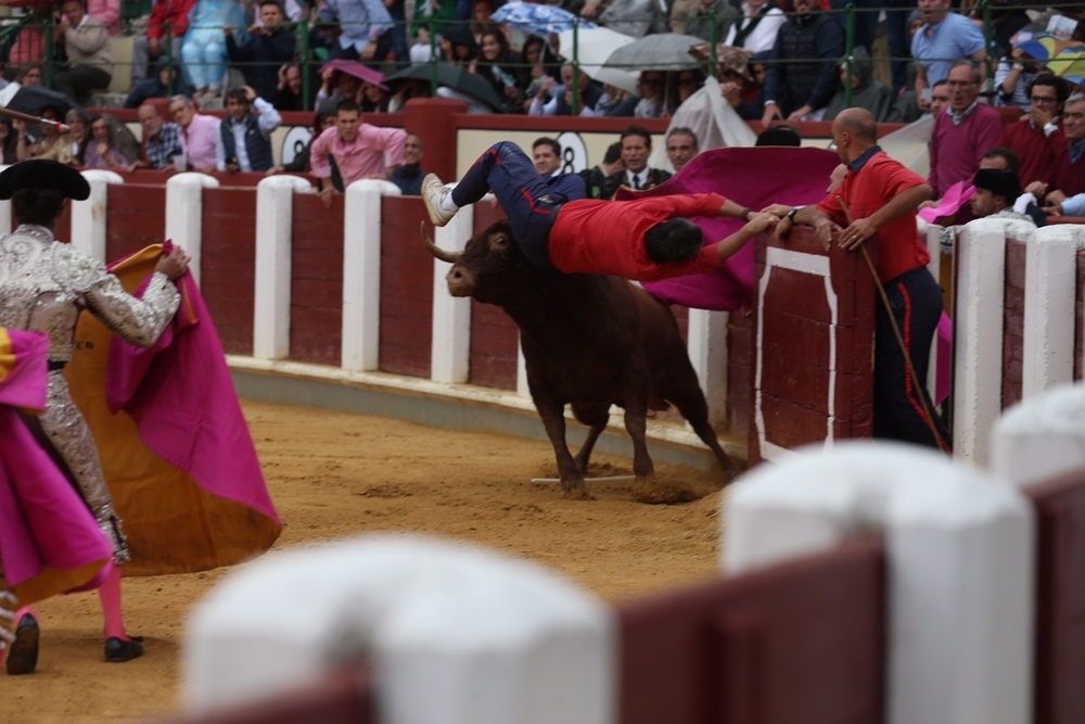 Cogida de un mozo de ayuda en la Plaza de Toros de Valladolid.  / WELLINGTON DOS SANTOS