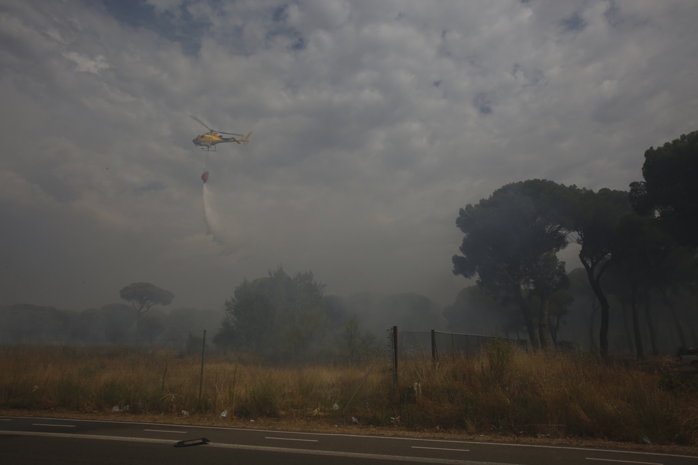 Incendio en el entorno de Entrepinos (Simancas)  / JONATHAN TAJES