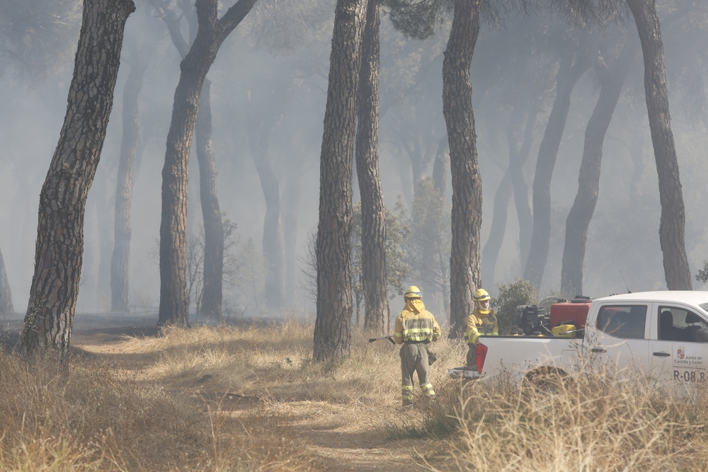 Incendio en el entorno de Entrepinos (Simancas)  / JONATHAN TAJES