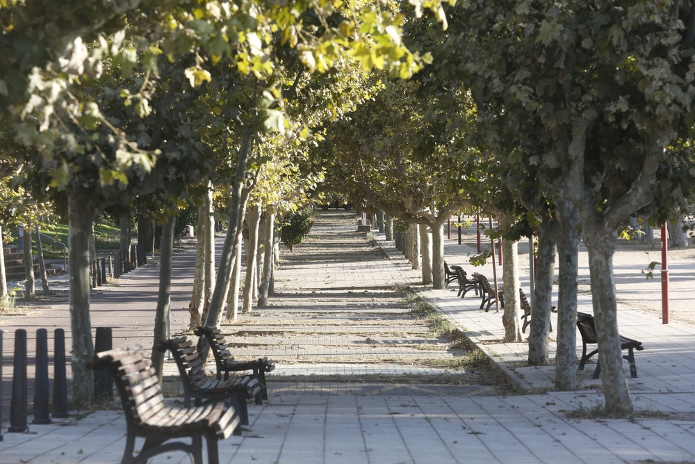 El acceso a la Rosaleda y a la Playa de las Moreras cerrado para prevenir botellones  / JONATHAN TAJES