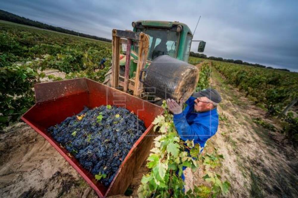 Encontro das grandes cooperativas de vinho do mundo