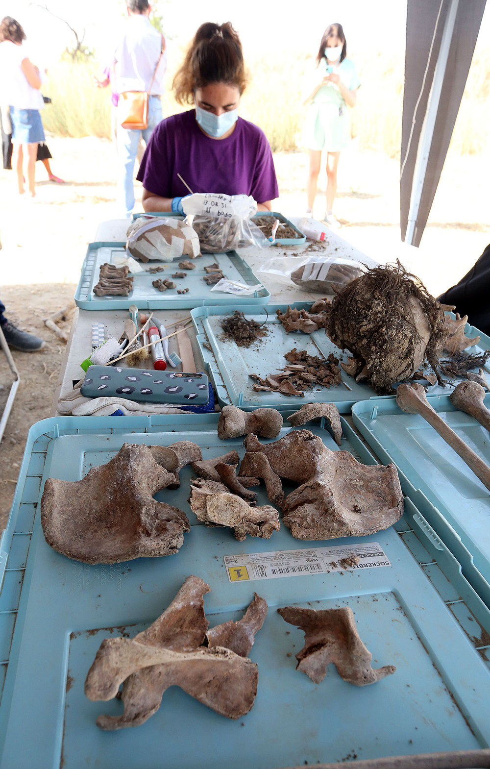 Labores de exhumación que la ARMH realiza en Medina del Campo  / RUBÉN CACHO / ICAL