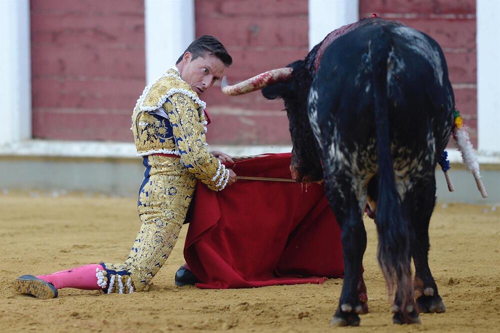 Feria de la Virgen de San Lorenzo de Valladolid  / EFE