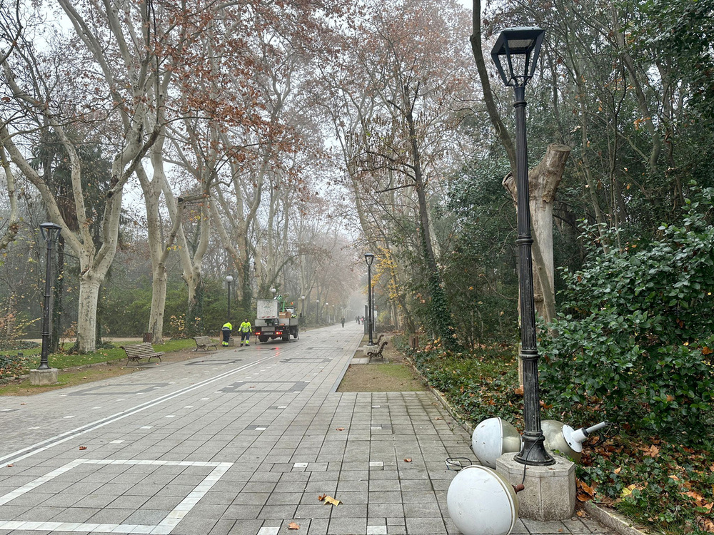 El Ayuntamiento mejora la iluminación del Paseo del Príncipe del Campo Grande con la incorporación de tecnología LED.