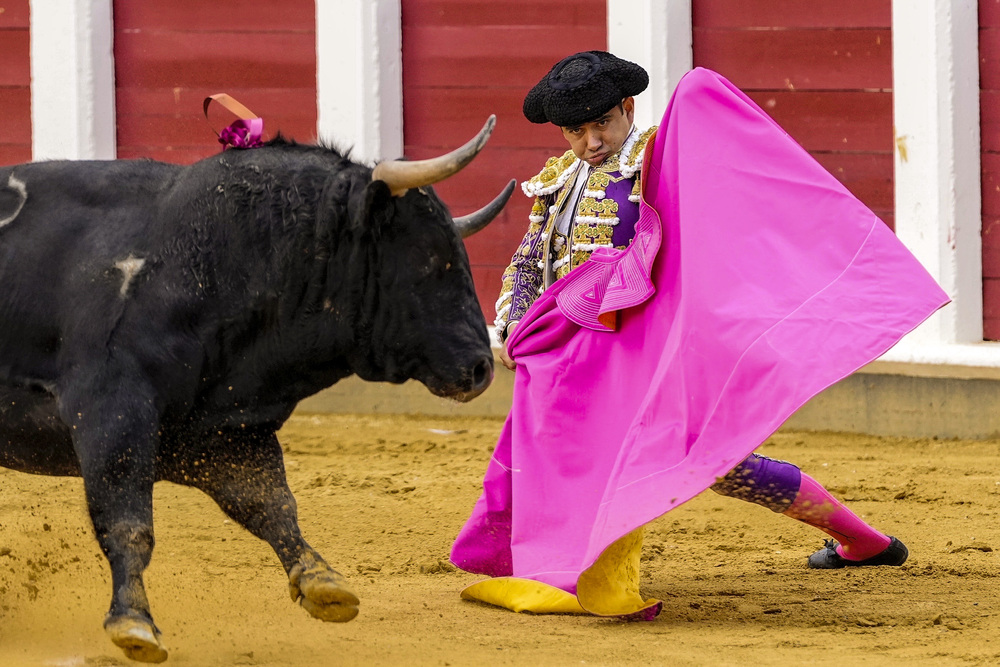 Primera corrida de la Feria de la Virgen de San Lorenzo de Valladolid  / EFE