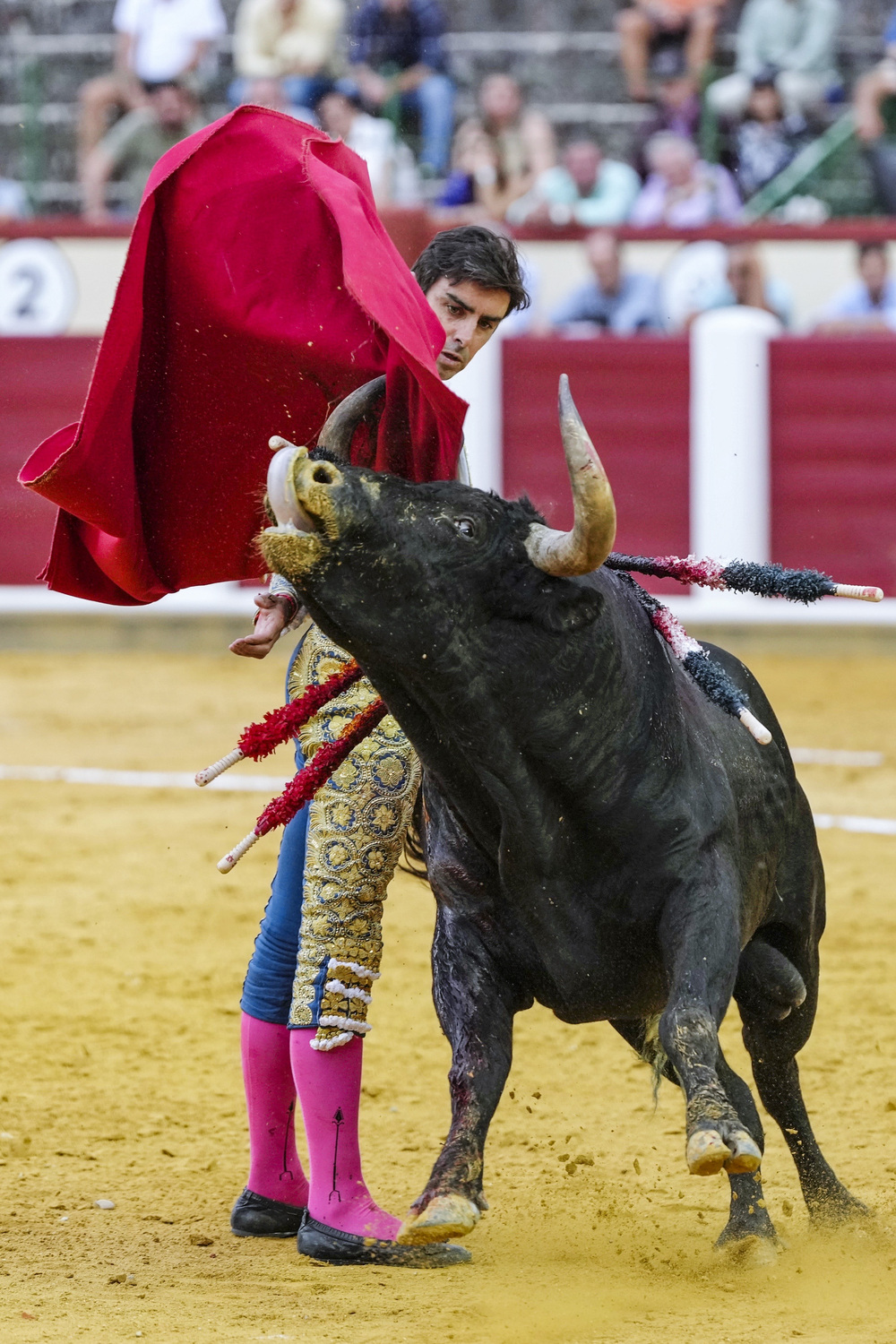 Primera corrida de la Feria de la Virgen de San Lorenzo de Valladolid  / EFE