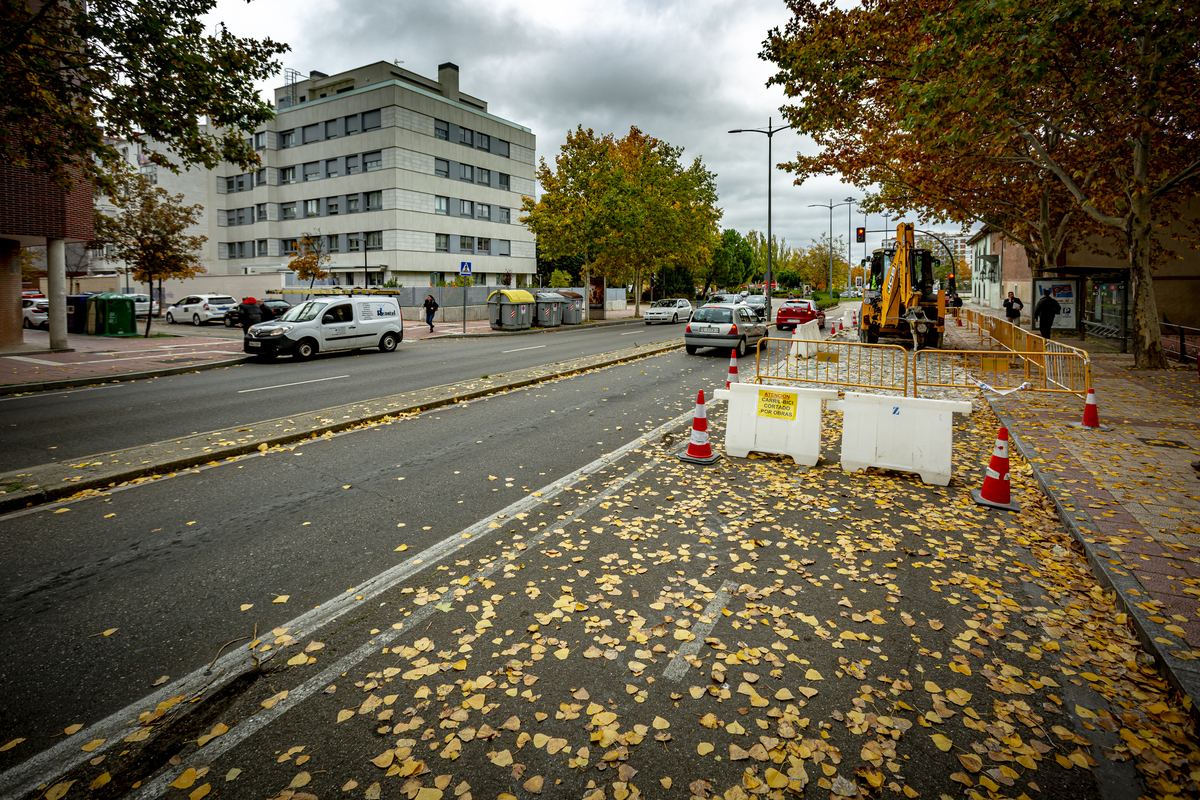 Visita de las obras del carril bici de la avenida Gijón.  / JONATHAN TAJES