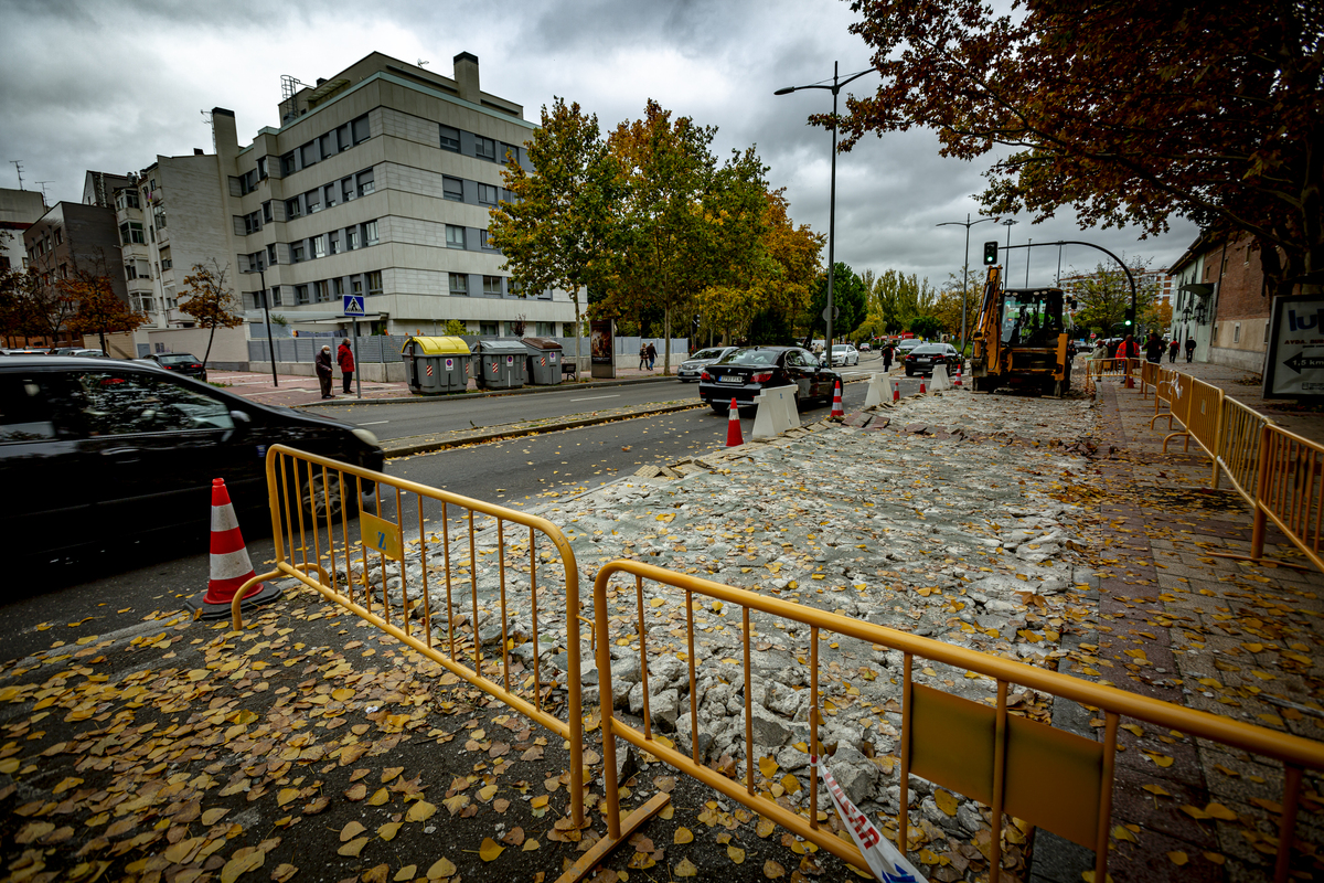 Visita de las obras del carril bici de la avenida Gijón.  / JONATHAN TAJES