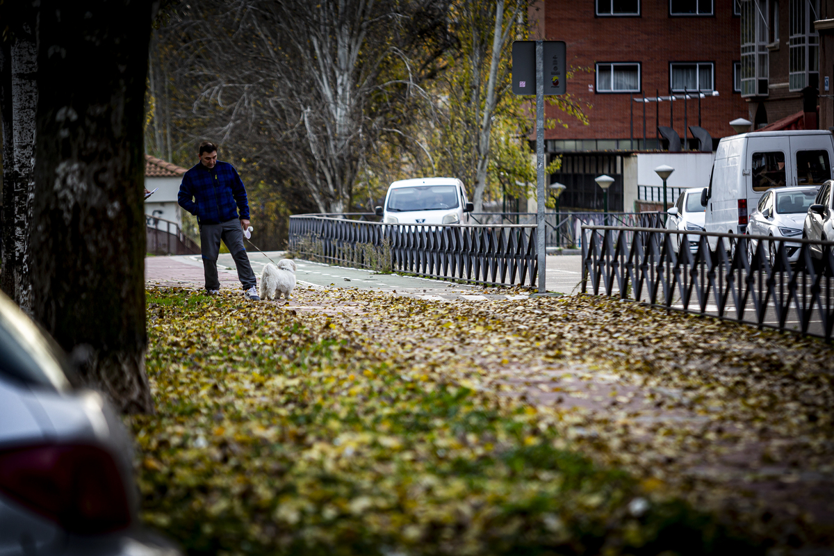 Las hojas cubren las aceras de diferentes calles de Valladolid.  / JONATHAN TAJES