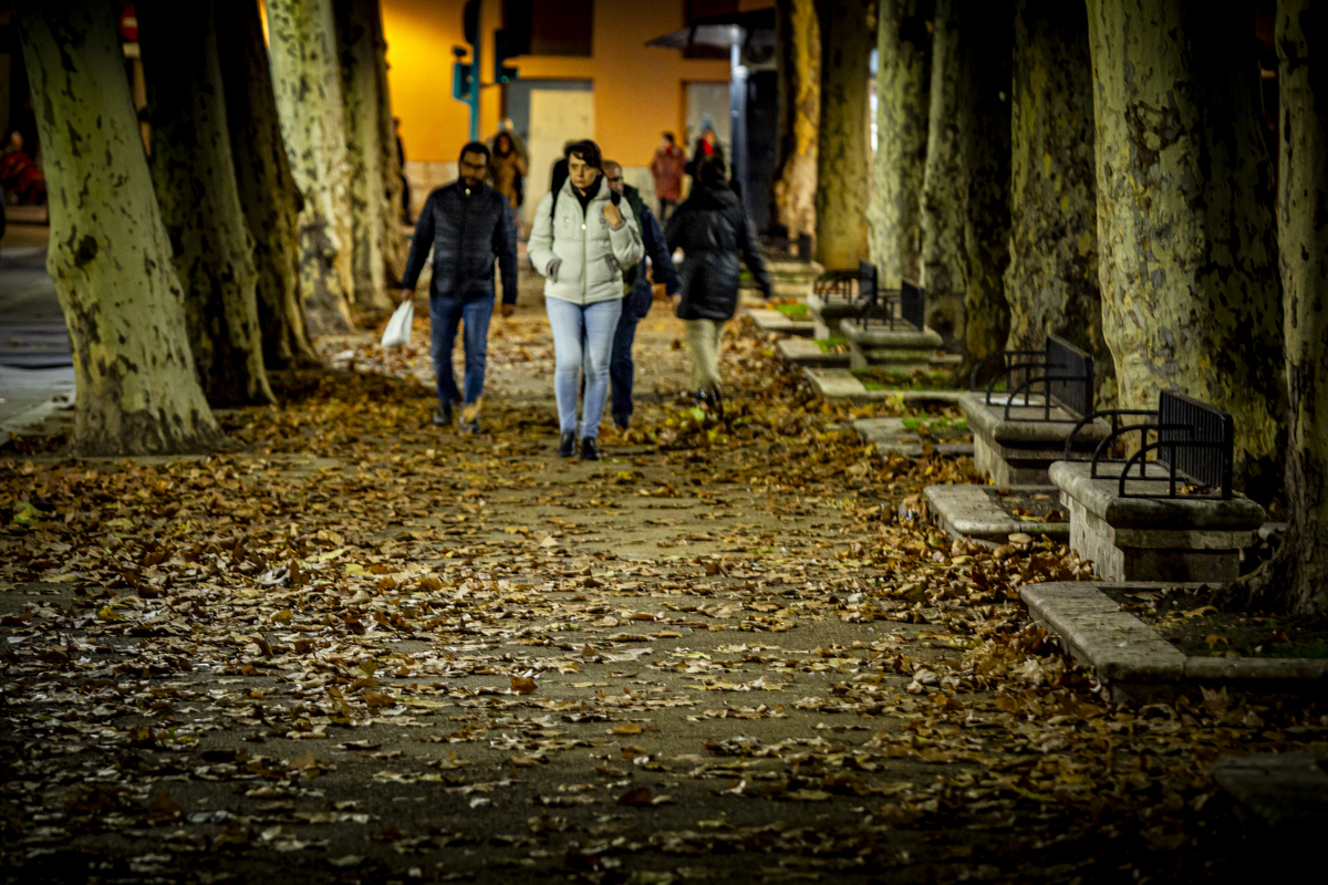 Las hojas cubren las aceras de diferentes calles de Valladolid.  / JONATHAN TAJES