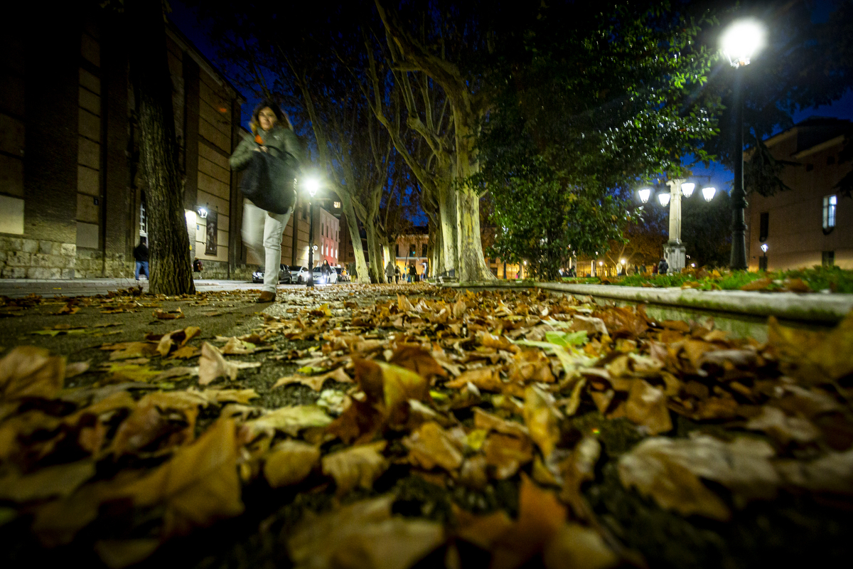 Las hojas cubren las aceras de diferentes calles de Valladolid.  / JONATHAN TAJES