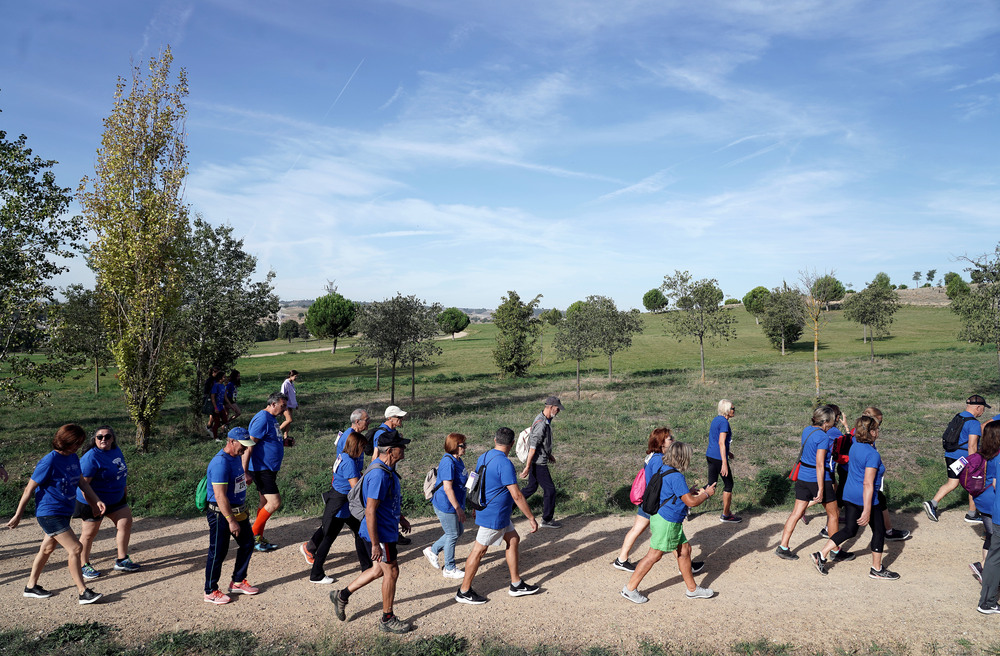 Imagen de la VI Caminata Popular de la Fundación Banco de Alimentos de Valladolid.  / RUBN CACHO ICAL