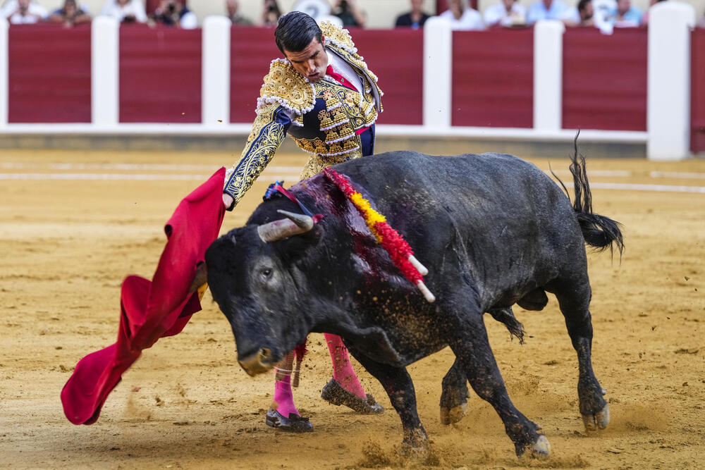 Segunda corrida de toros por las fiestas en Valladolid: un mano a mano entre El Juli y Emilio de Justo.  / EFE / NACHO GALLEGO