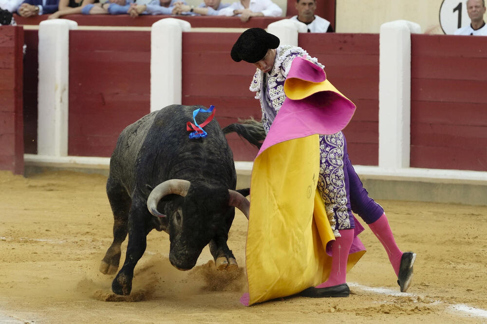 Segunda corrida de toros por las fiestas en Valladolid: un mano a mano entre El Juli y Emilio de Justo.  / EFE / NACHO GALLEGO