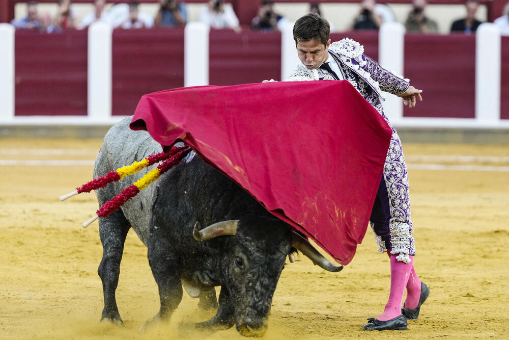 La baja de Roca Rey deja un mano a mano entre El Juli y Emilio de Justo en Valladolid  / NACHO GALLEGO