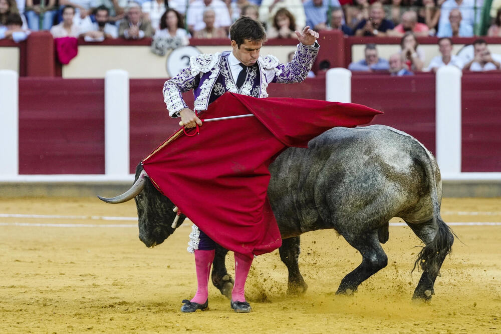 La baja de Roca Rey deja un mano a mano entre El Juli y Emilio de Justo en Valladolid  / NACHO GALLEGO