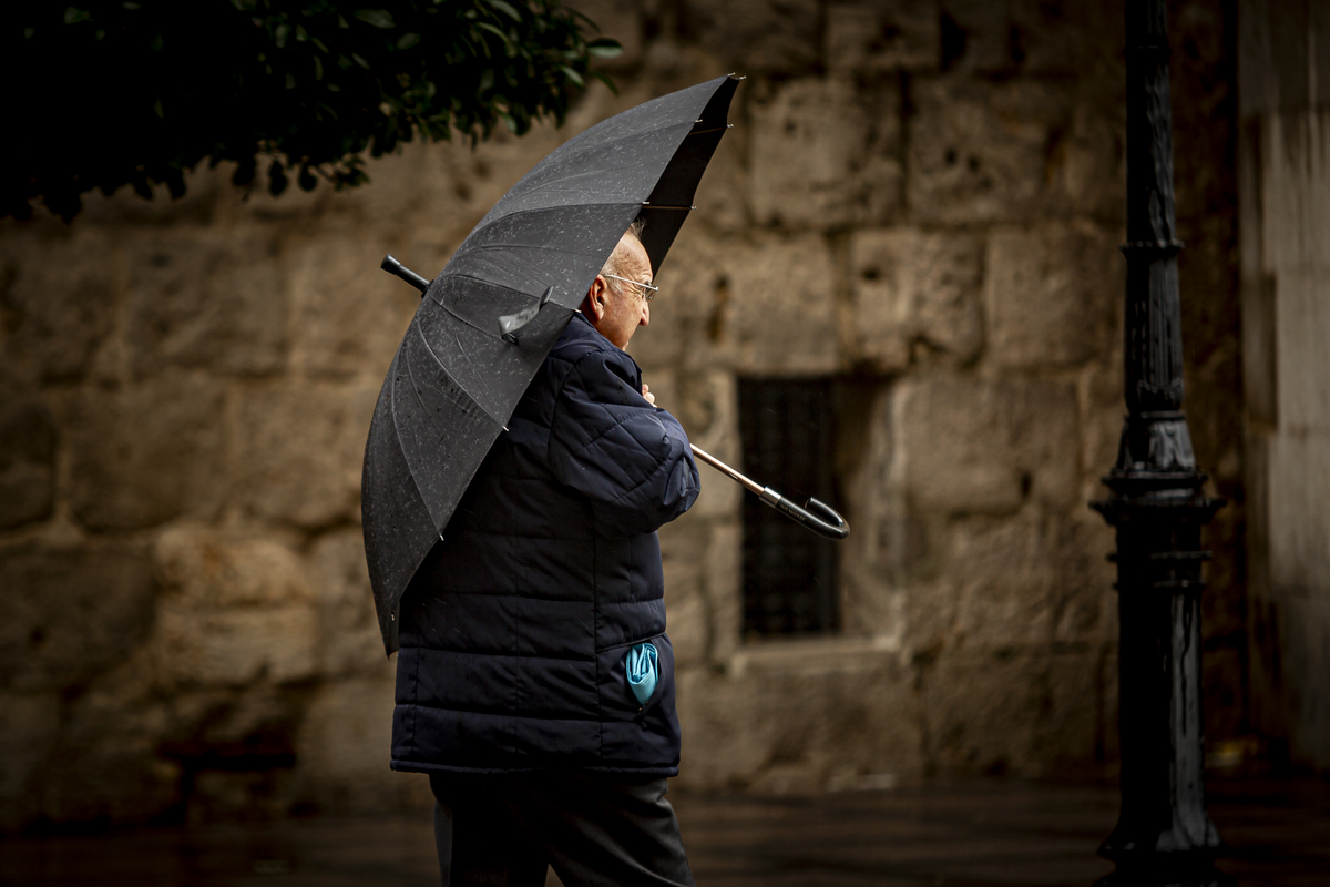 Temporal de viento y lluvia en Valladolid.  / JONATHAN TAJES