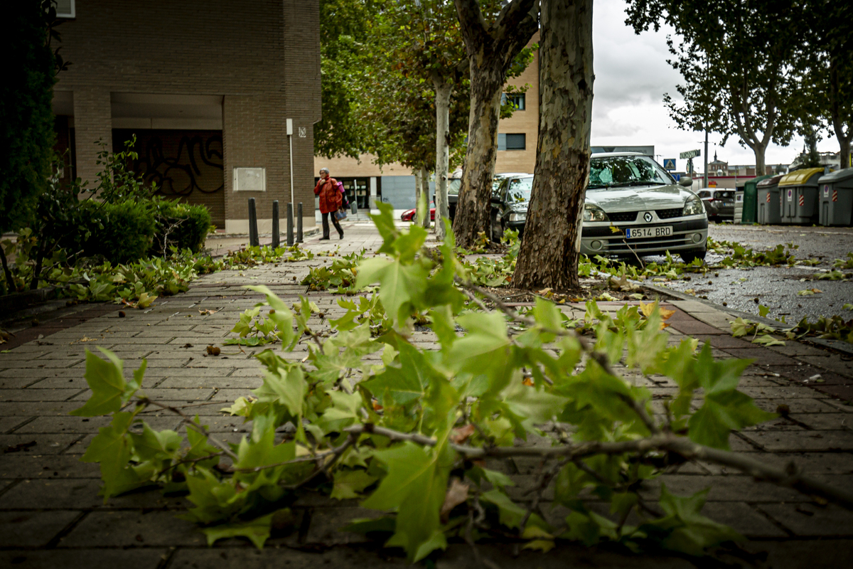 Temporal de viento y lluvia en Valladolid.  / JONATHAN TAJES