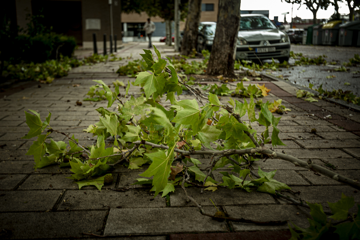 Temporal de viento y lluvia en Valladolid.  / JONATHAN TAJES