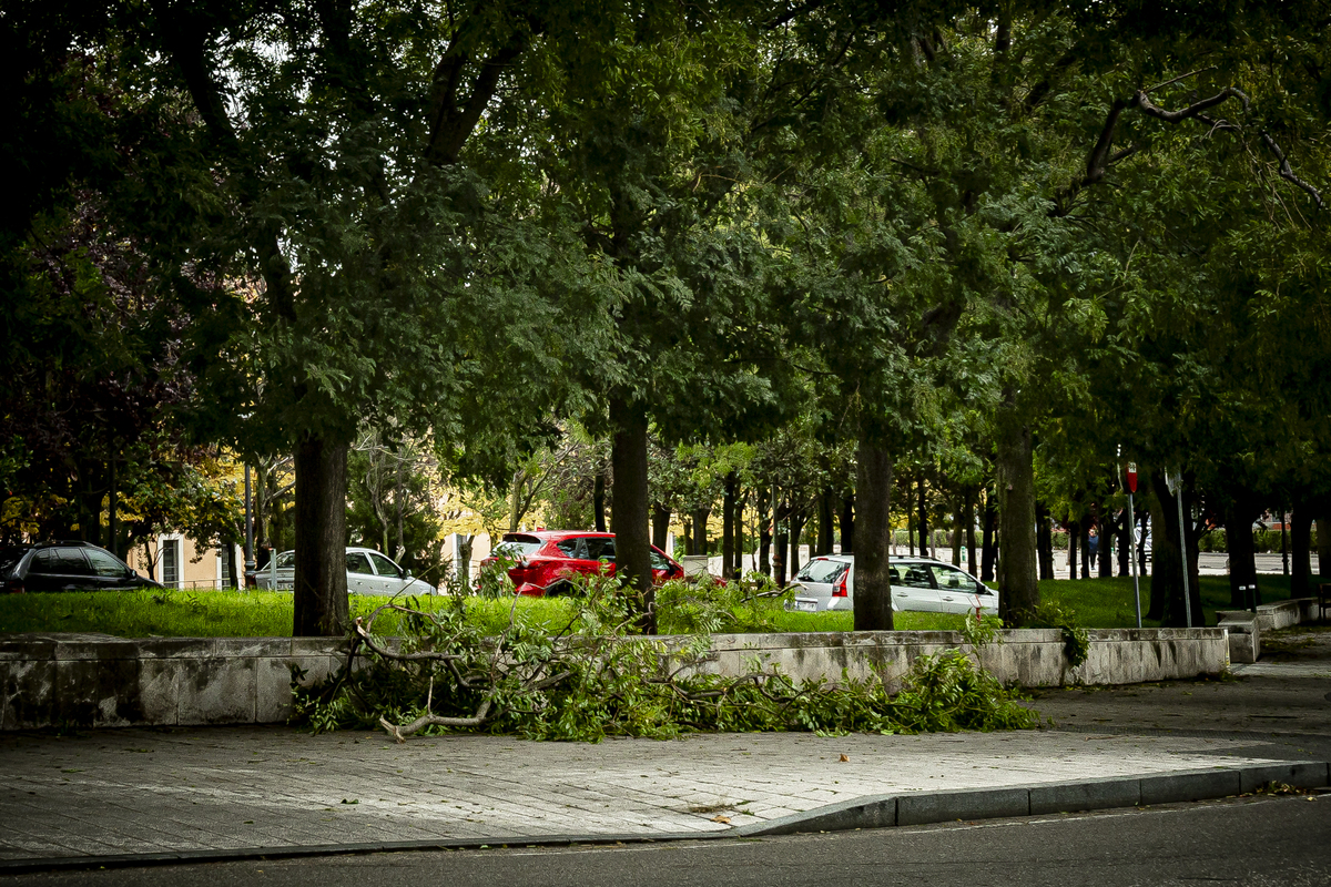 Temporal de viento y lluvia en Valladolid.  / JONATHAN TAJES