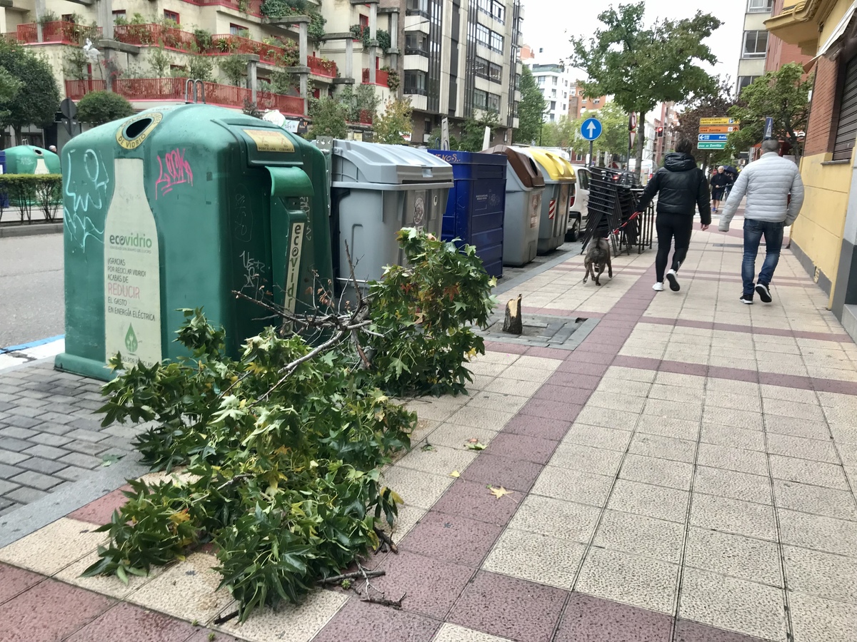 Temporal de viento y lluvia en Valladolid.  / MIRIAM CHACÓN / ICAL