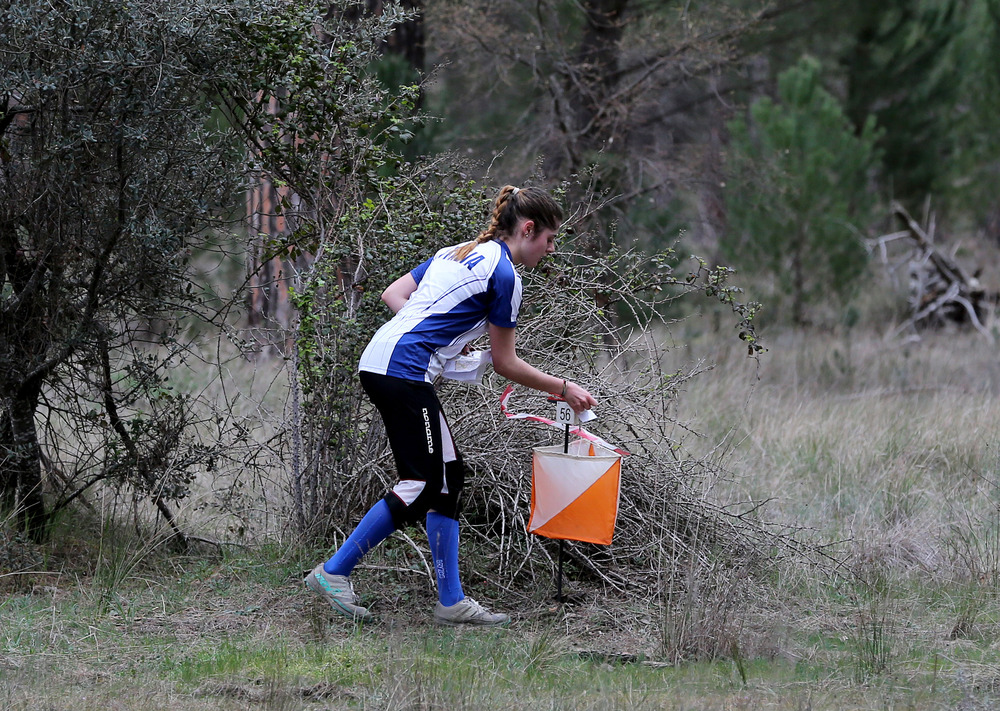 Imagen de la sexta jornada del Campeonato Escolar de orientación.