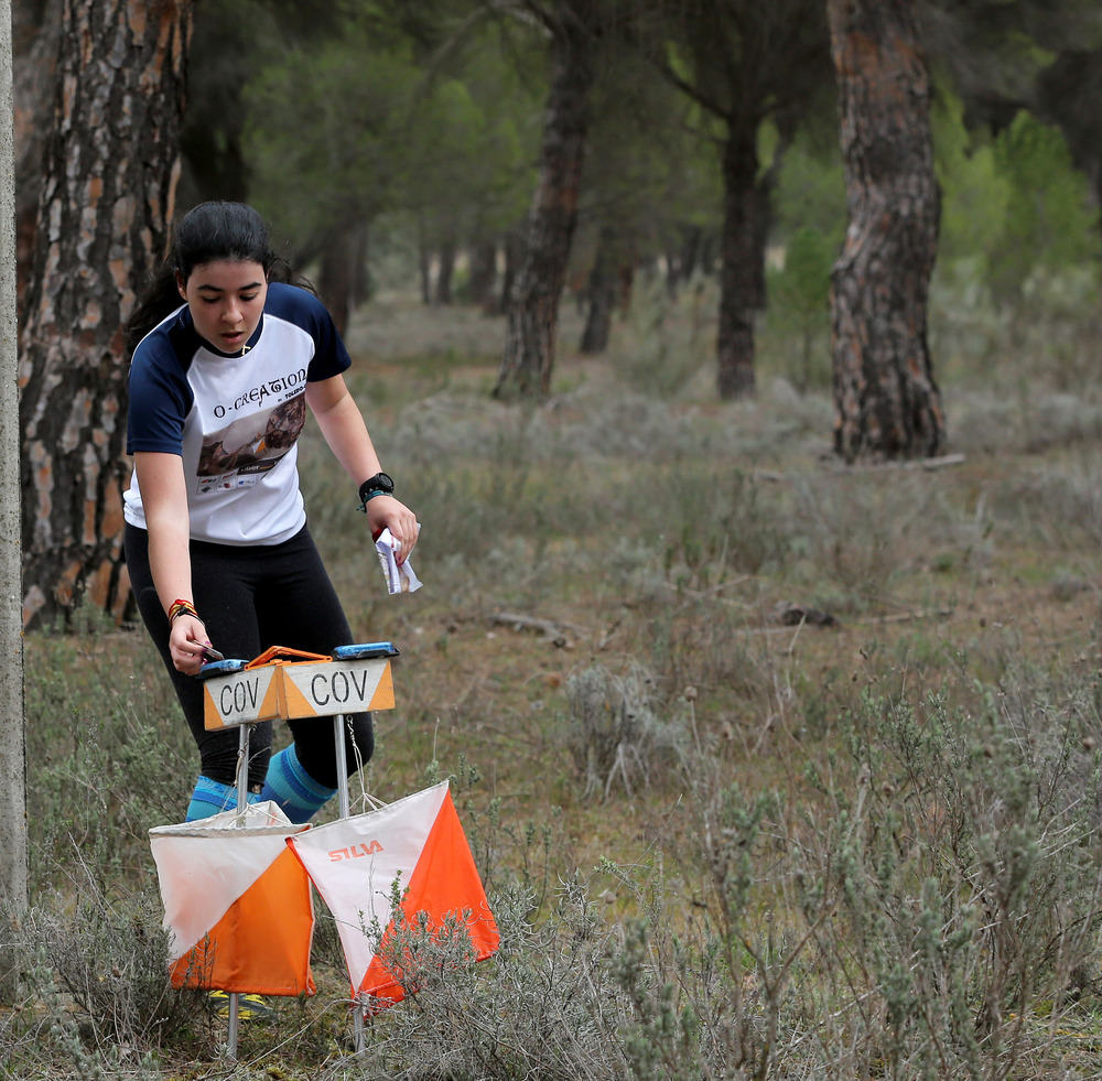 Imagen de la sexta jornada del Campeonato Escolar de orientación.  / MONTSE.ALVAREZ