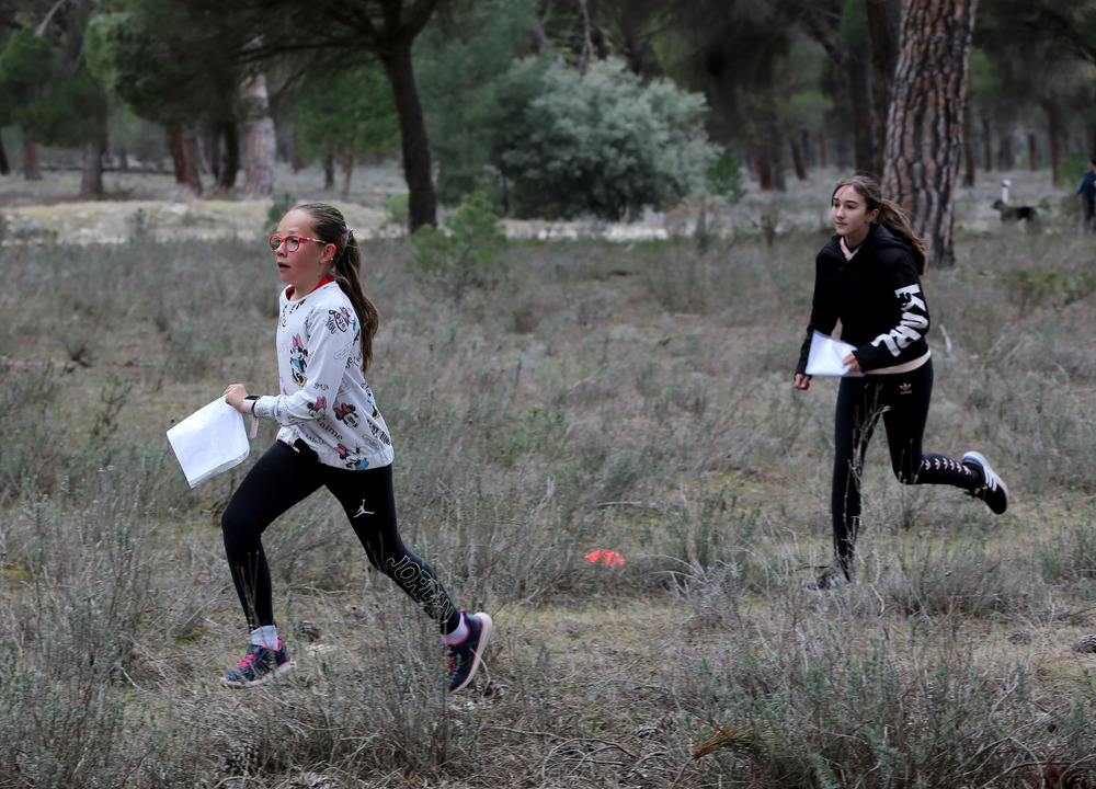 Imagen de la sexta jornada del Campeonato Escolar de orientación.  / MONTSE.ALVAREZ