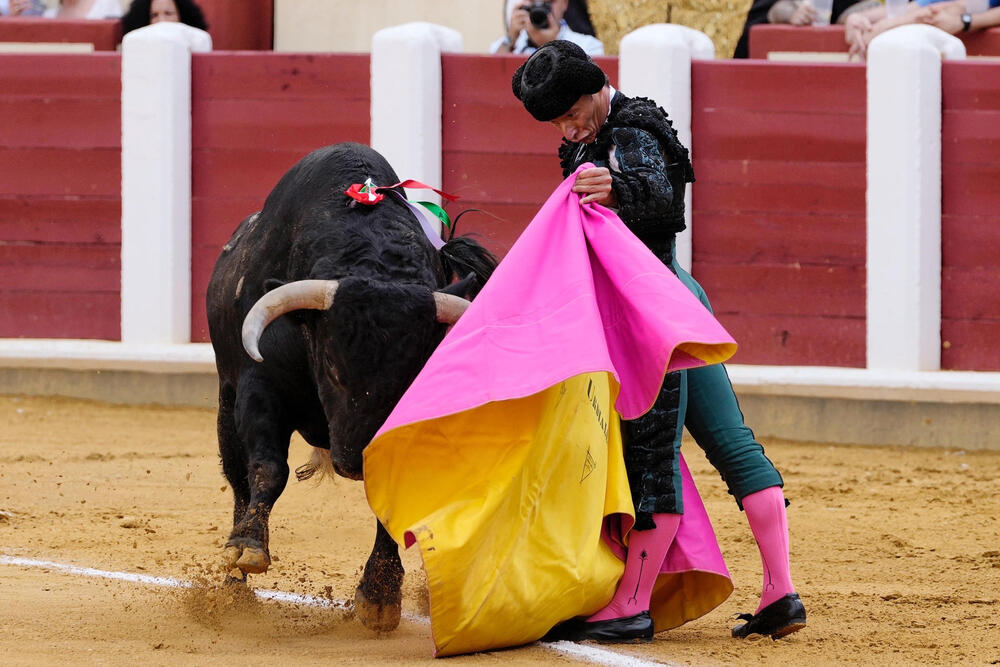 Tercera corrida de la Feria de la Virgen de San Lorenzo de Valladolid en la que comparten cartel Juan Ortega, Pablo Aguado y Diego Urdiales.   / NACHO GALLEGO / EFE