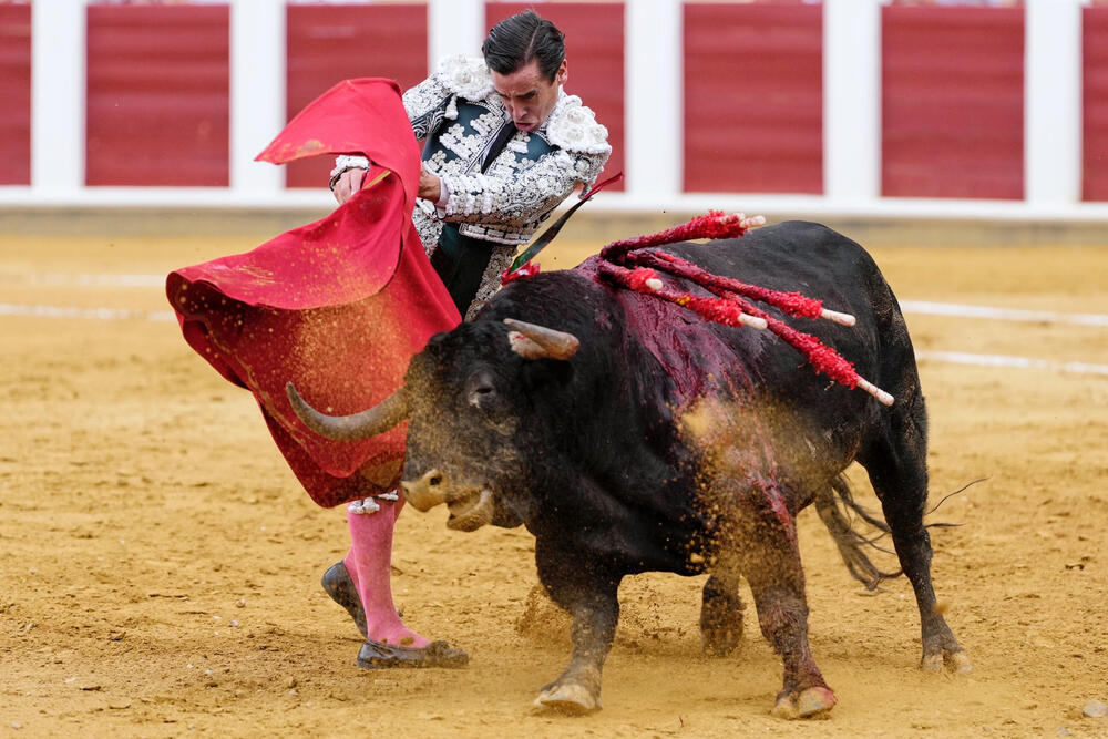 Tercera corrida de la Feria de la Virgen de San Lorenzo de Valladolid en la que comparten cartel Juan Ortega, Pablo Aguado y Diego Urdiales.   / NACHO GALLEGO / EFE