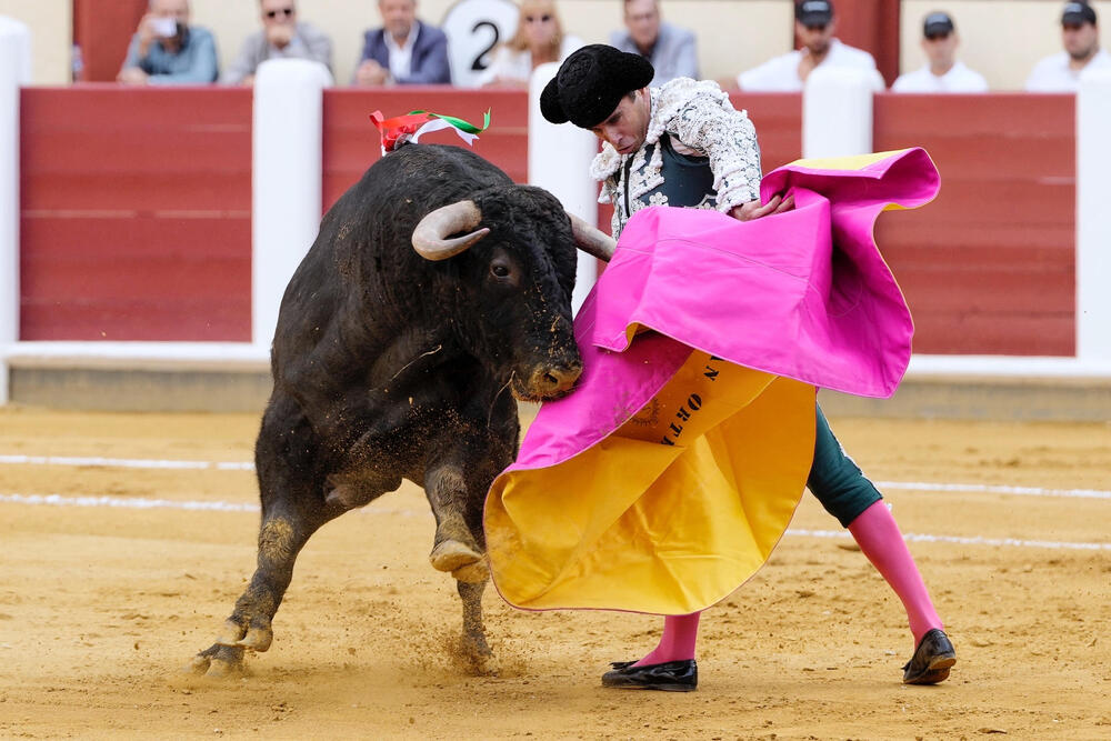 Tercera corrida de la Feria de la Virgen de San Lorenzo de Valladolid en la que comparten cartel Juan Ortega, Pablo Aguado y Diego Urdiales.   / NACHO GALLEGO / EFE