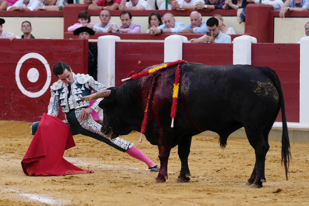 Toros en Valladolid - Feria Virgen de San Lorenzo  / NACHO GALLEGO