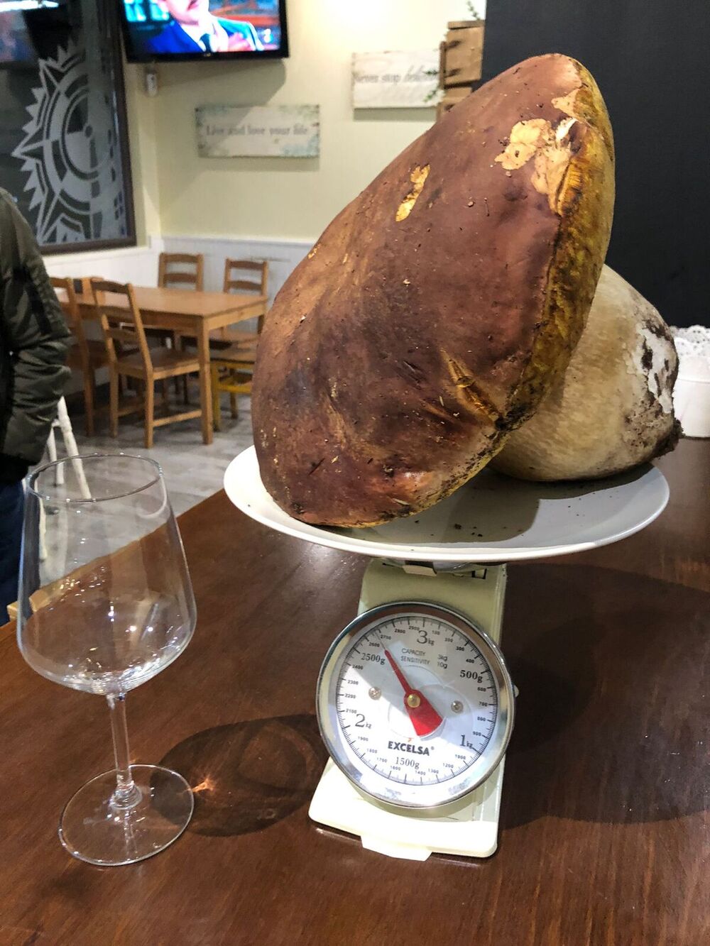 Recogen en Zamora un boletus gigante para el Astrolabio