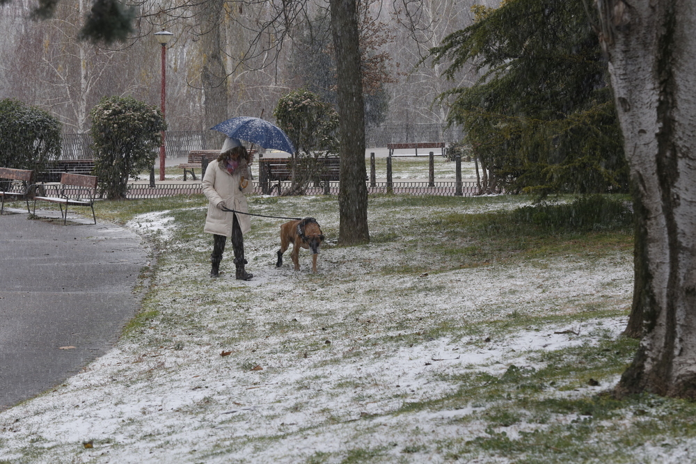 Nevada en Valladolid.  / J.T.