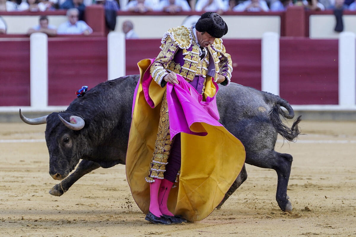 El diestro Emilio de Justo este sábado durante la cuarta corrida de la Feria Taurina de Nuestra Señora de San Lorenzo de Valladolid, con la ganadería de Victorino Martín y la única corrida programada para un único matador.  / NACHO GALLEGO / EFE