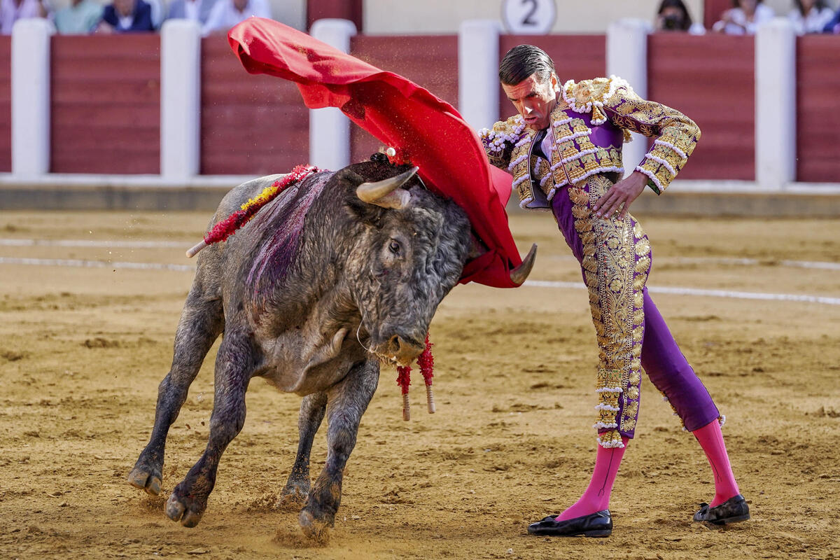 El diestro Emilio de Justo este sábado durante la cuarta corrida de la Feria Taurina de Nuestra Señora de San Lorenzo de Valladolid, con la ganadería de Victorino Martín y la única corrida programada para un único matador.  / NACHO GALLEGO / EFE