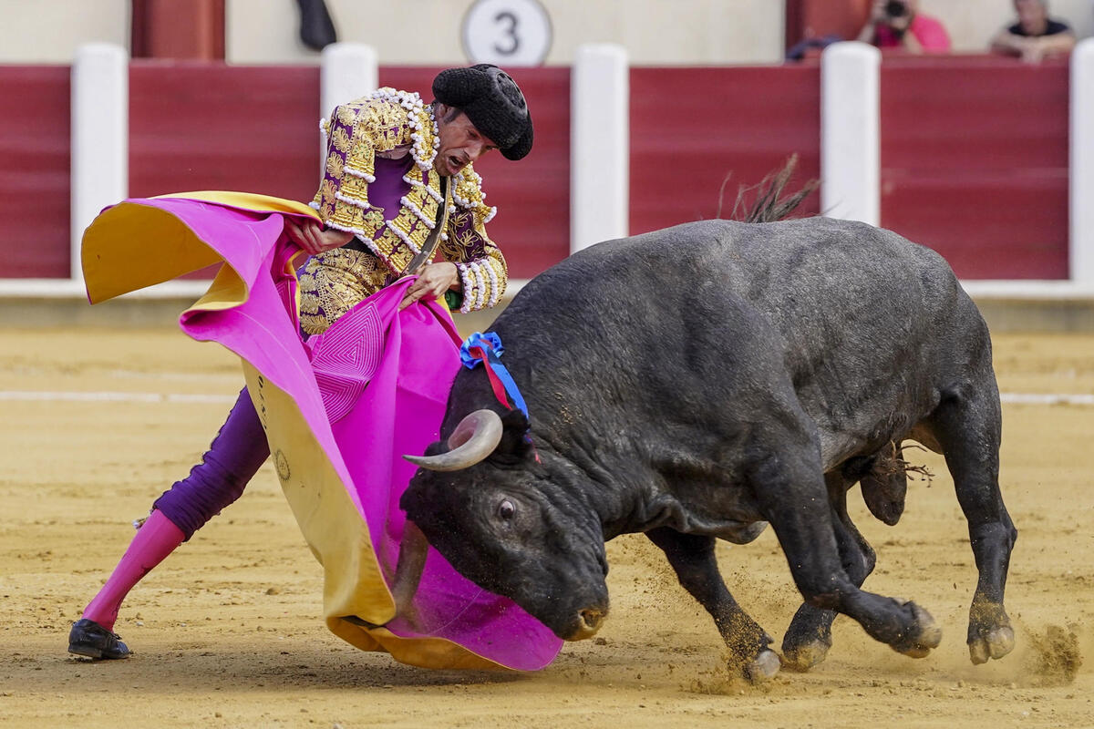 El diestro Emilio de Justo este sábado durante la cuarta corrida de la Feria Taurina de Nuestra Señora de San Lorenzo de Valladolid, con la ganadería de Victorino Martín y la única corrida programada para un único matador.  / NACHO GALLEGO / EFE