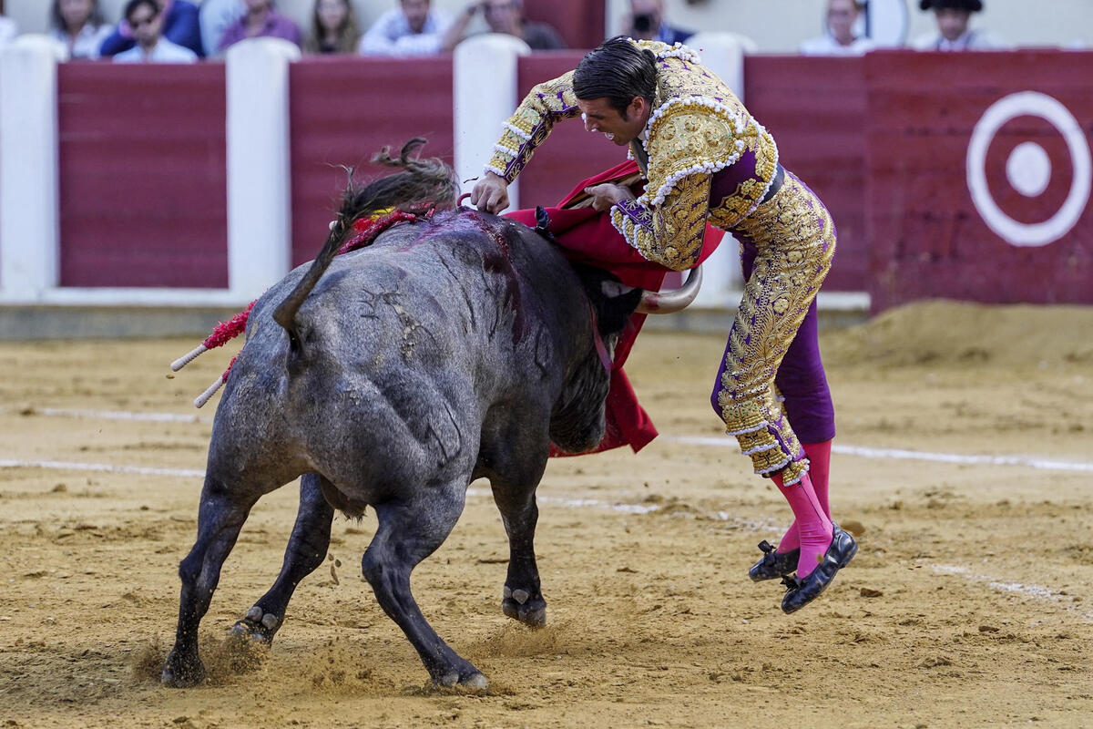 El diestro Emilio de Justo este sábado durante la cuarta corrida de la Feria Taurina de Nuestra Señora de San Lorenzo de Valladolid, con la ganadería de Victorino Martín y la única corrida programada para un único matador.  / NACHO GALLEGO / EFE