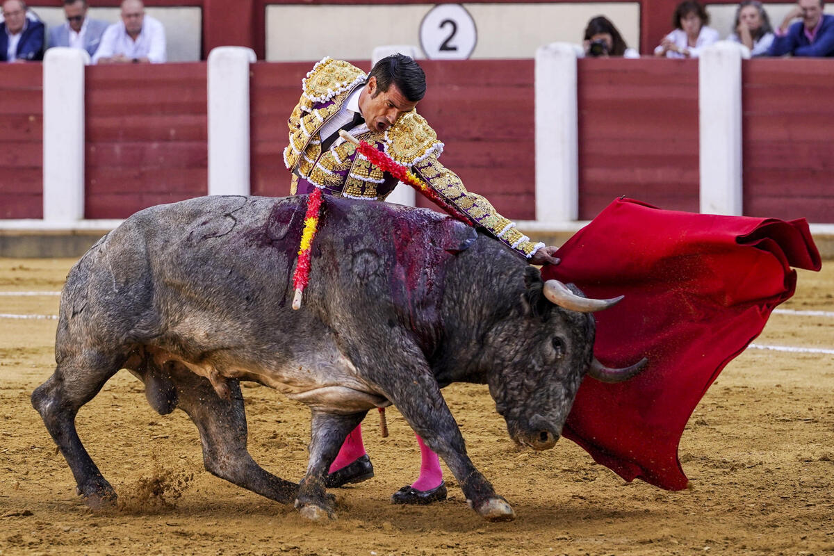 El diestro Emilio de Justo este sábado durante la cuarta corrida de la Feria Taurina de Nuestra Señora de San Lorenzo de Valladolid, con la ganadería de Victorino Martín y la única corrida programada para un único matador.  / NACHO GALLEGO / EFE