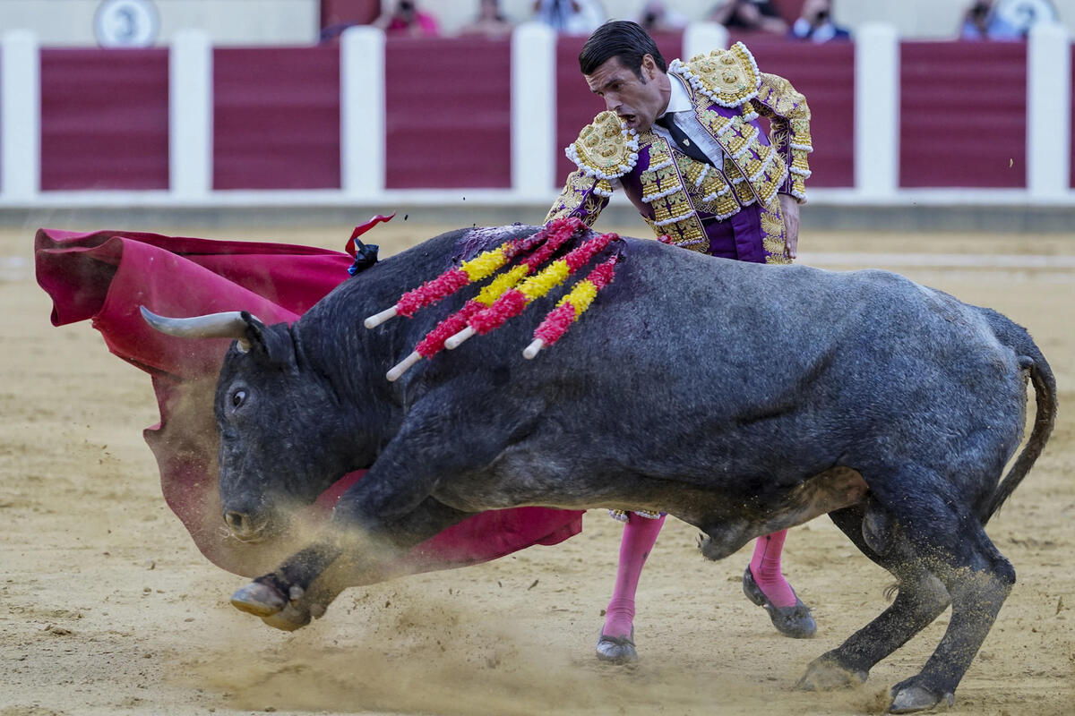 El diestro Emilio de Justo este sábado durante la cuarta corrida de la Feria Taurina de Nuestra Señora de San Lorenzo de Valladolid, con la ganadería de Victorino Martín y la única corrida programada para un único matador.  / NACHO GALLEGO / EFE