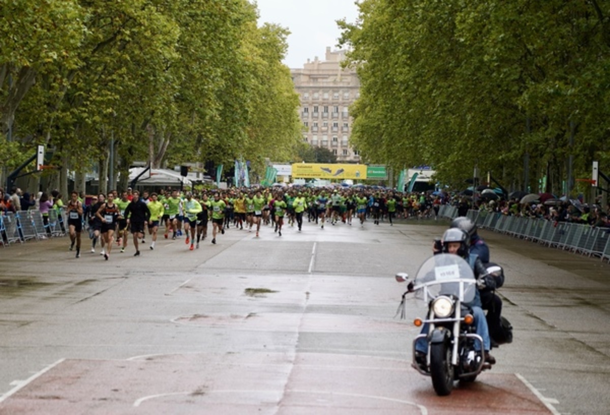 XIII Valladolid en Marcha contra el Cáncer.  / ICAL