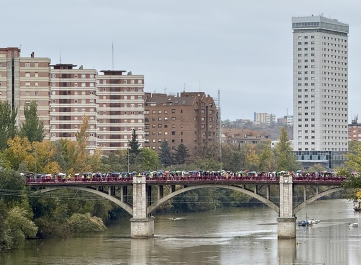 XIII Valladolid en Marcha contra el Cáncer.  / ICAL