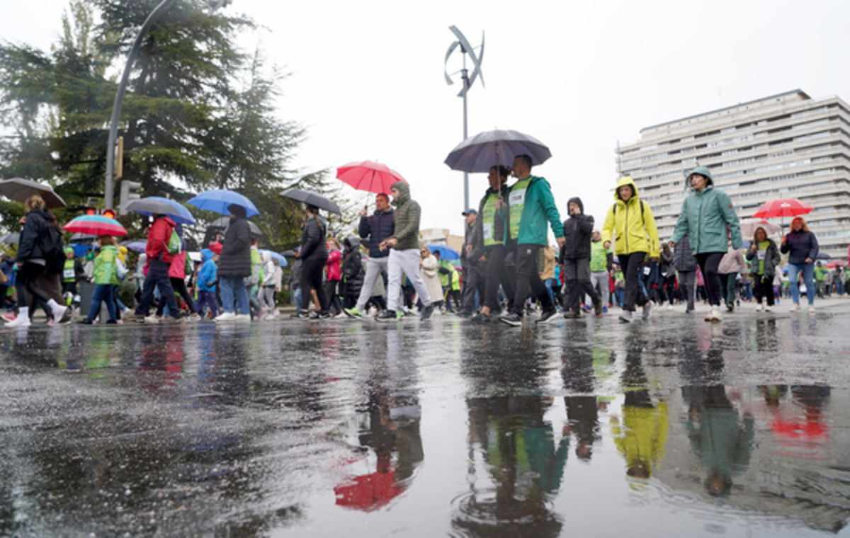 XIII Valladolid en Marcha contra el Cáncer.  / ICAL