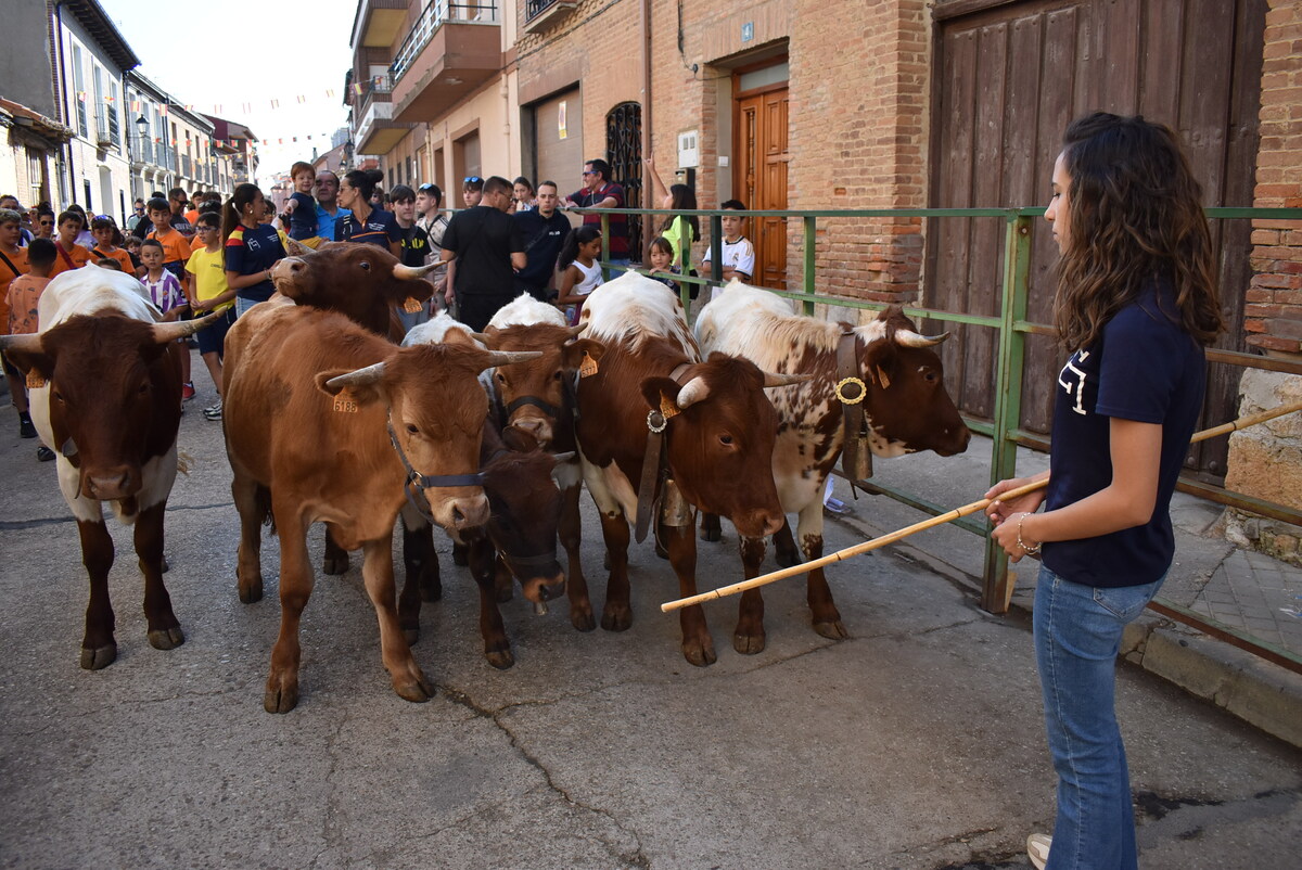 Día del Niño y Gran Prix de Peñas en Cigales.  / El Día de Valladolid